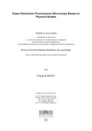 Super-Resolution Fluorescence Microscopy Based on Physical ...