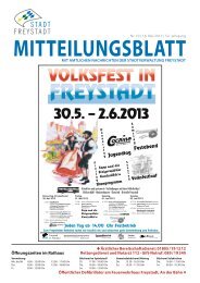 Mitteilungsblat 10-2013.indd - Stadt Freystadt