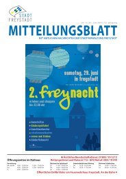 Mitteilungsblat 11-2013.indd - Stadt Freystadt