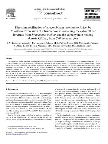 Direct immobilization of a recombinant invertase to ... - Cinvestav