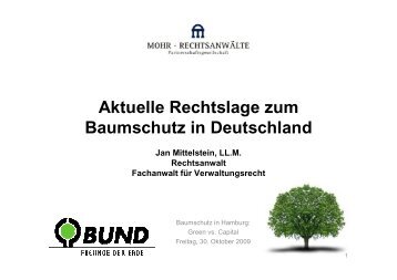 Aktuelle Rechtslage zum Baumschutz in ... - BUND Hamburg