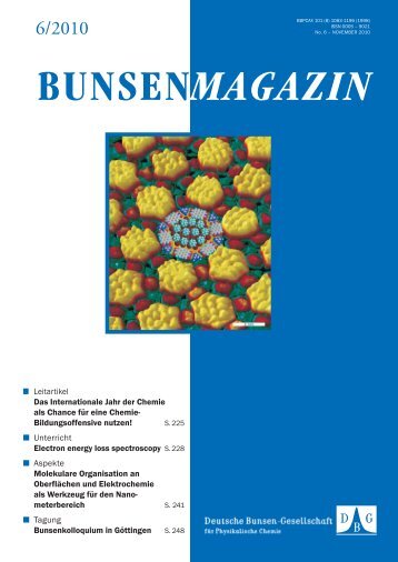 Magazin 06/2010 - Deutsche Bunsengesellschaft für Physikalische ...