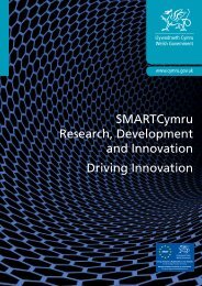 SMARTCymru Research, Development and ... - Business Wales