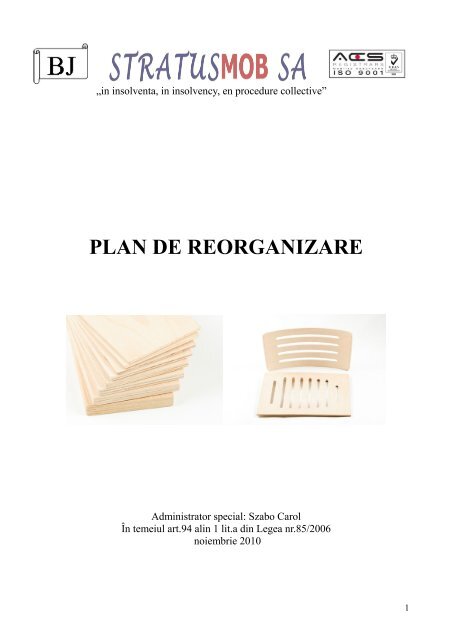 PLAN DE REORGANIZARE