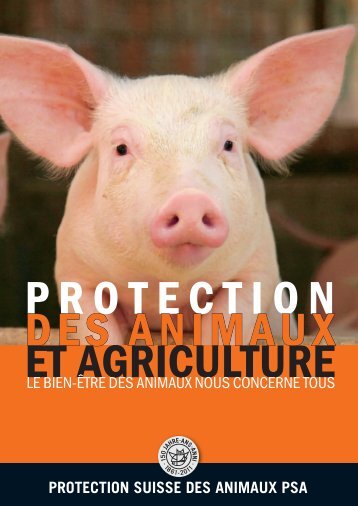 Protection des animaux et agriculture - Schweizer Fleisch