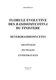 florule evolutive des basidiomycotina du finistere - Projet Aulnaies