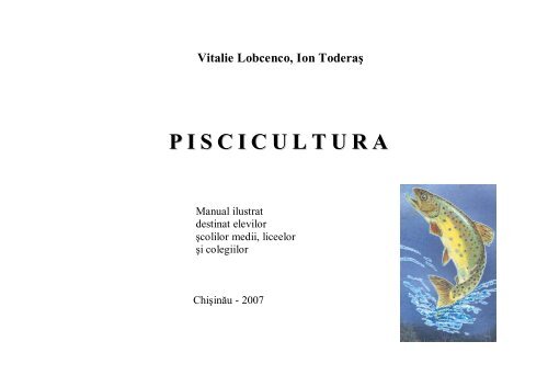 Lobcenco Maket Ro - Eco - Tiras