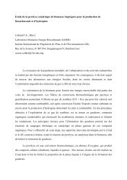 Etude de la pyrolyse catalytique de biomasse imprégnée pour la ...