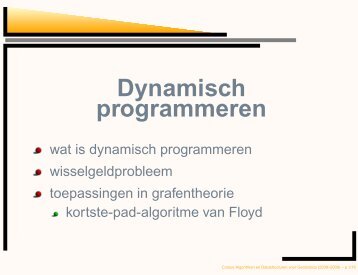 Dynamisch programmeren