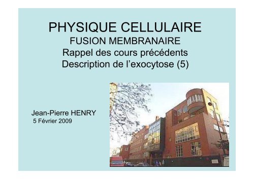 Description de l'exocytose - Laboratoire Matière et Systèmes ...