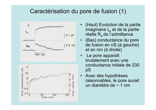 Description de l'exocytose - Laboratoire Matière et Systèmes ...