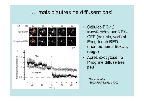 Description de l'exocytose - Laboratoire Matière et Systèmes ...