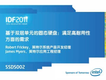 基于双层单元的固态硬盘：满足高耐用性方面的需求SSDS002 - Intel