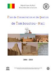 Plan de conservation et de gestion : Tombouctou (Mali)