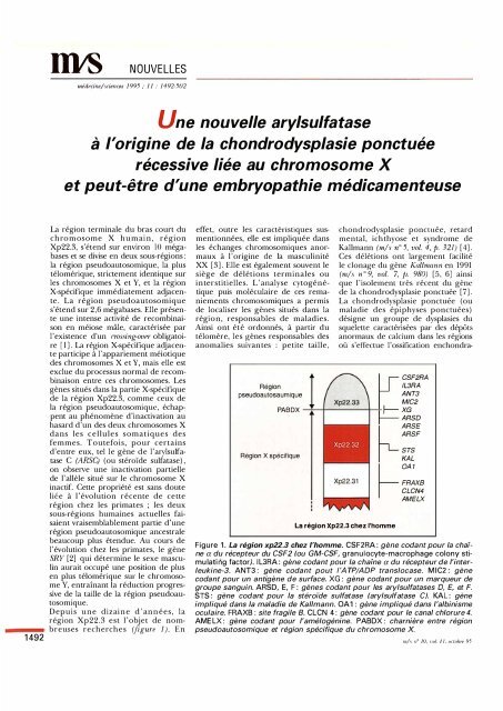 PDF - iPubli-Inserm