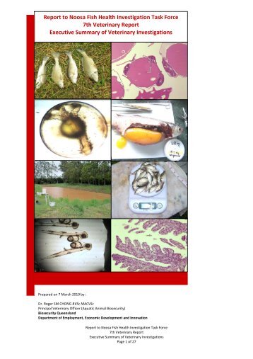 37 7th Veterinary Report - Department of Primary Industries ...