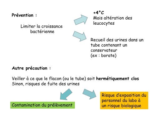 Sondage urinaire : les 10 commandements - arlin