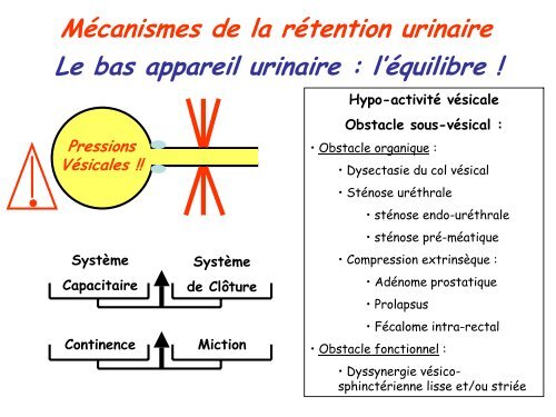 Sondage urinaire : les 10 commandements - arlin