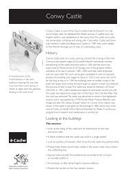 Conwy Castle - Notes for Teachers [pdf, 506kb] - Cadw