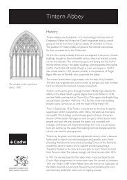 Tintern Abbey - Notes for Teachers - Cadw - Welsh Assembly ...