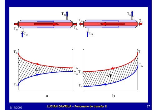 LUCIAN GAVRILĂ – Fenomene de transfer II - Cadre Didactice