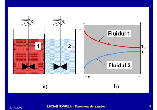 LUCIAN GAVRILĂ – Fenomene de transfer II - Cadre Didactice