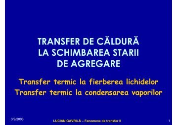 LUCIAN GAVRILĂ – Fenomene de transfer II - Cadre Didactice