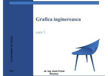 dr. ing Ionel Crinel Raveica - Cadre Didactice