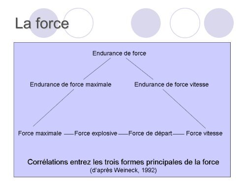 Les capacités physiques - Culture STAPS