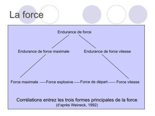 Les capacités physiques - Culture STAPS