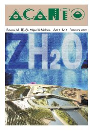 Revista del I.E.S . Miguel de Molinos. Año 4 Nº 8 Primavera 2005
