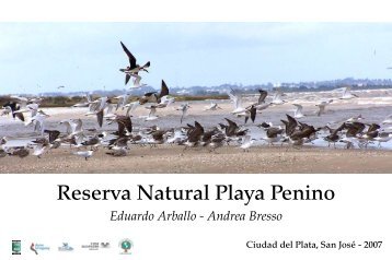 libro digital reserva natural playa penino - Aves Uruguay