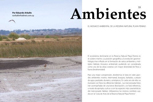 libro digital reserva natural playa penino - Aves Uruguay