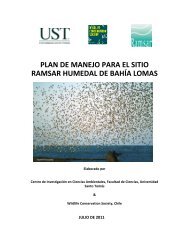 plan de manejo para el sitio ramsar humedal de bahía lomas