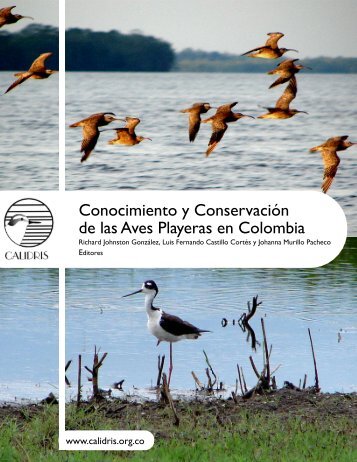 Conocimiento y Conservación de las Aves Playeras en Colombia