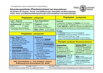 Phantomschmerzkonzept 04_2009 - Universitätsklinikum Gießen ...