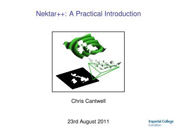 Nektar++: A Practical Introduction - CamTools