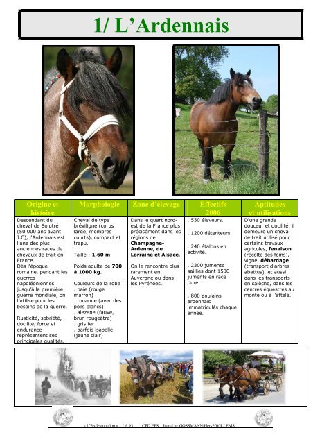 5 Les chevaux de trait