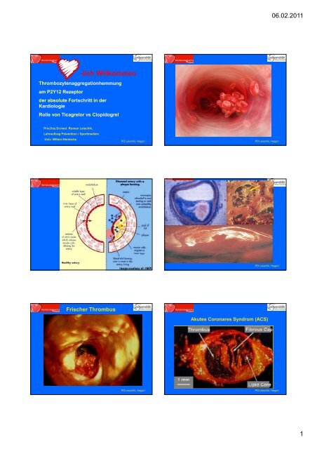 -lich Willkommen - Cardiologia-mallorca.es