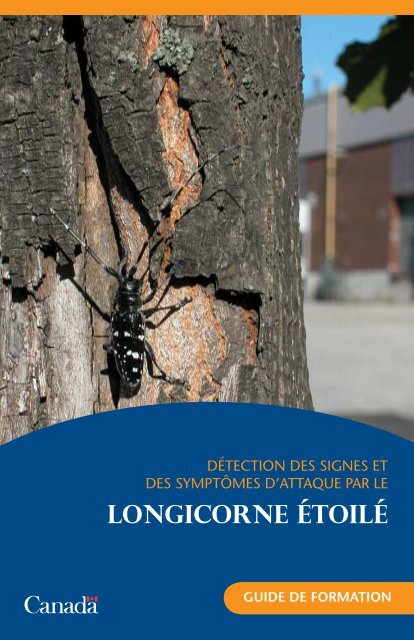 LONGICORNE ÉTOILÉ - Publications du gouvernement du Canada