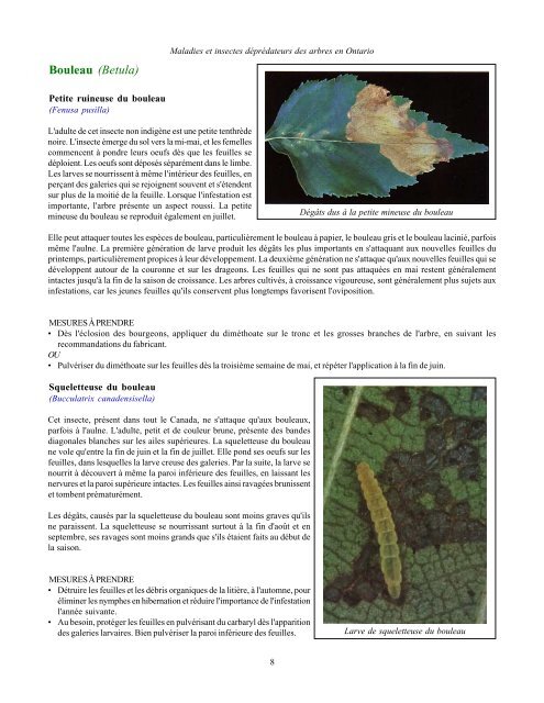 Maladies et insectes déprédateurs des arbres en Ontario