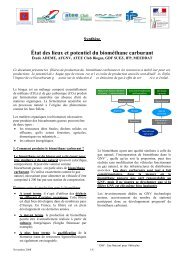 Synthèse : État des lieux et potentiel du biométhane carburant