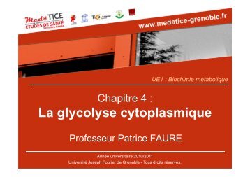 La glycolyse cytoplasmique - Université Virtuelle Paris 5