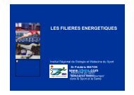 LES FILIERES ENERGETIQUES - IRBMS