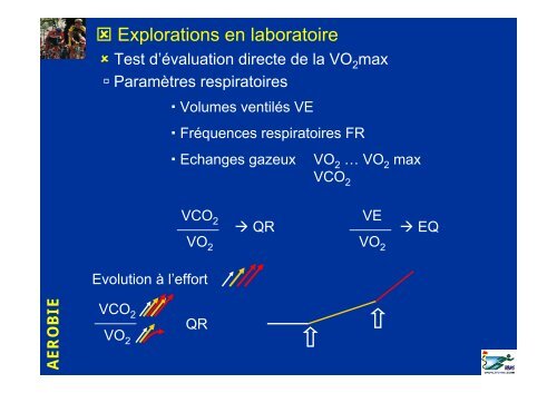 LES FILIERES ENERGETIQUES - IRBMS