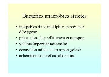 Bactéries anaérobies.pdf