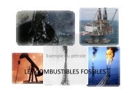 Les combustibles fossiles, exemple du pétrole - SVT