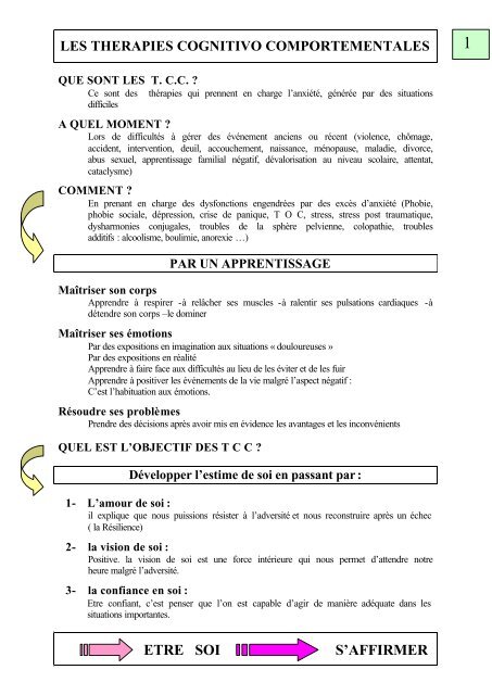 Les Thérapies Cognitivo Comportementales - geyre electronique