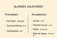 DES Glandes salivaires 2010-1.pdf - AFIAP