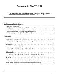 Sommaire du CHAPITRE 12 Les bananes et plantains (Musa sp.)